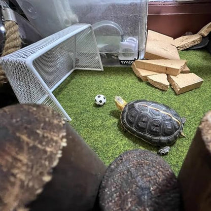 Fish Tank Decorations Stainless Steel Mini Soccer Goal & Football Set, Aquarium Decor & Accessories, Fish Tank Toys for Betta, Goldfish & Turtles, Mini Soccer Net Aquarium Ornament