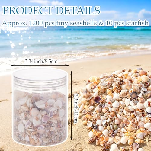 1200 Pcs Small Seashells Starfish Mixed Beach Seashells for Home Decoration Beach Theme Party DIY Crafts Candle Making