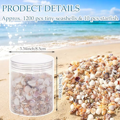 1200 Pcs Small Seashells Starfish Mixed Beach Seashells for Home Decoration Beach Theme Party DIY Crafts Candle Making