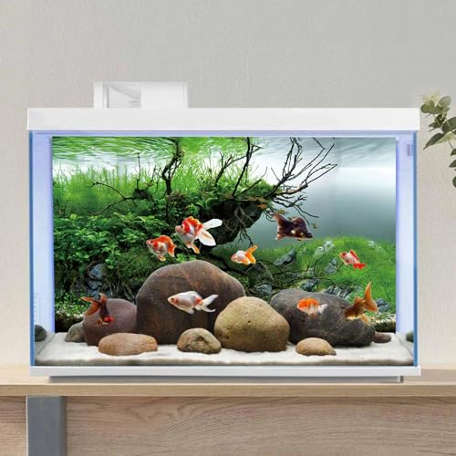 AWERT 30x12 inches Branches Fish Tank Background Seaweed Aquarium Background River Bed & Lake Aquarium Background Vinyl Background - size: 30x12in/75x30cm