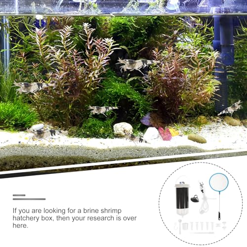 FRCOLOR Brine Shrimp Incubating Box with Suction Cup Mini Shrimp Hatchery Tank for Artemia Eggs Hatching and Breeding Easy to Use 6.10X2.36X2.36 Inches