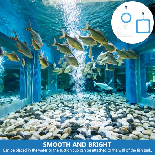 3pcs Fish Feeding Rings Set with Suction Cups Fish Feeder Circles for Aquarium Tanks for Freshwater