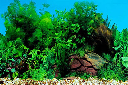 ELEBOX Fish Tank Stickers Wallpaper Seaweed Background Aquarium Background Decoration Water Plants Fish Tank Background 15.7"x 40"