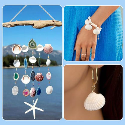 Craftdady Natural Clam Shell Pendants 21.5-24.5x8.5-11.5 Beach Ocean Seashell Beads Charms for Vase Filler Fish Tank Jewelry Making Hole:1.5-1.6mm, About 117pcs/Box - color: Natural Color, 21.5-24.5mm