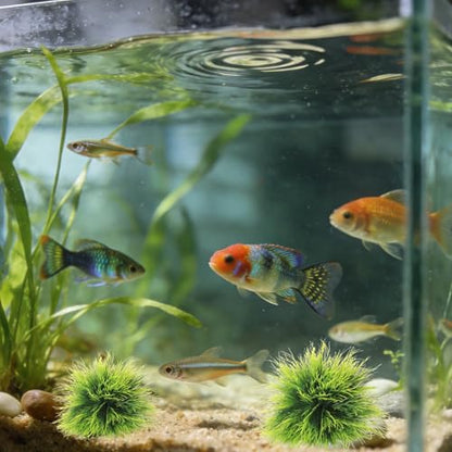 4 Pcs Fish Tank Plants Charming Plastic Aquarium Plants with Weighted Base for Fish Tank Decor Accessories, Green