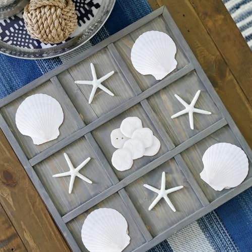 JQAQJU 20PCS Sea Shells for Crafting 3-4", Mini Sand Dollars Starfish Decor for Crafts, Scallop Shells for Cooking, Seashells for Crafts DIY Beach Theme Party Candle Decor Wedding Fish Tank