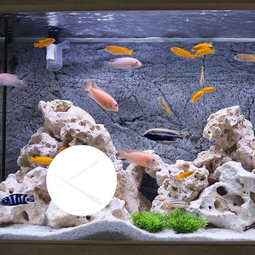 10pcs Coral Feeder Syringe Tubes 3ml Plastic Shrimp Liquid Feeders Aquarium Fish Feeding Tool for Marine and Brine Shrimp Pet Supplies