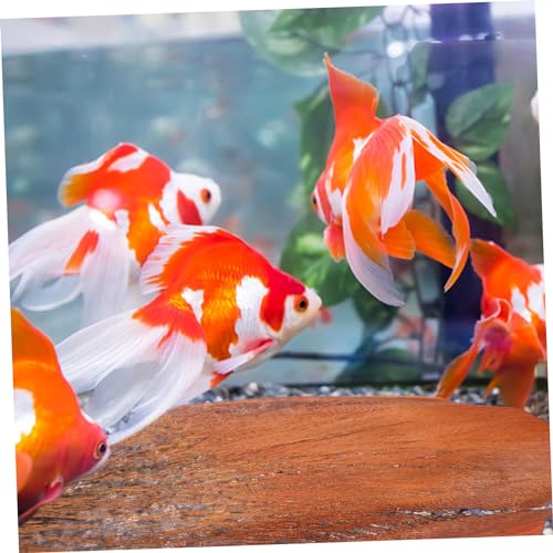 POPETPOP 5 Sheets Tree Bark Decor for Fish Breeding and Plant Accessories for Aquariums and Garden Landscaping Enhances Spaces and Atmosphere