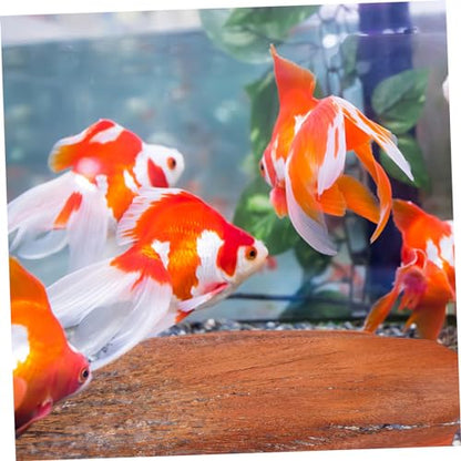 POPETPOP 5 Sheets Tree Bark Decor for Fish Breeding and Plant Accessories for Aquariums and Garden Landscaping Enhances Spaces and Atmosphere