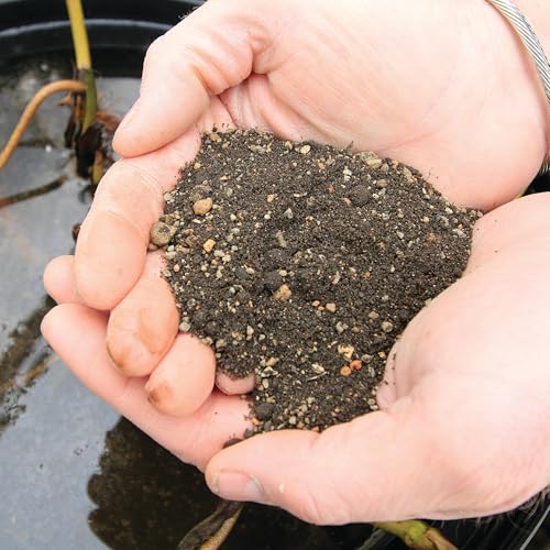 Aquascape Pond Plant Potting Media, Nutrient-Rich Aquatic Soil for Water Gardens, Supports Strong Root Growth, 215 Cubic Inches, 89002 - size: 215 cubic inches