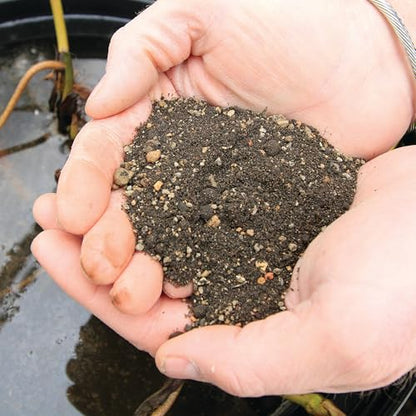 Aquascape Pond Plant Potting Media, Nutrient-Rich Aquatic Soil for Water Gardens, Supports Strong Root Growth, 215 Cubic Inches, 89002 - size: 215 cubic inches
