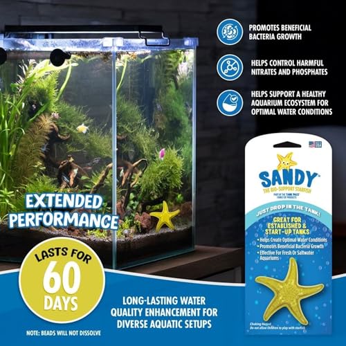 Sandy The Bio-Support Starfish - 1 Pack, Yellow- Promotes A Healthy Balanced Aquarium Ecosystem, Probiotic Growth, Tank Environment Control - style: 1 Pack