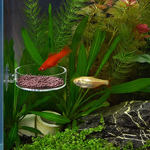 Aquarium Shrimp Feeder Dish Round Fish Tank Feeder Bowls Clear Aquarium Feeding Cup with Suction Cup - color: Clear-Round