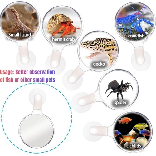 Aquarium Magnifying Glass - Magnifying Glass with Suction Cup | Animal Plant Observation Fish Tank Viewer for Viewing Coral and Taking Pictures