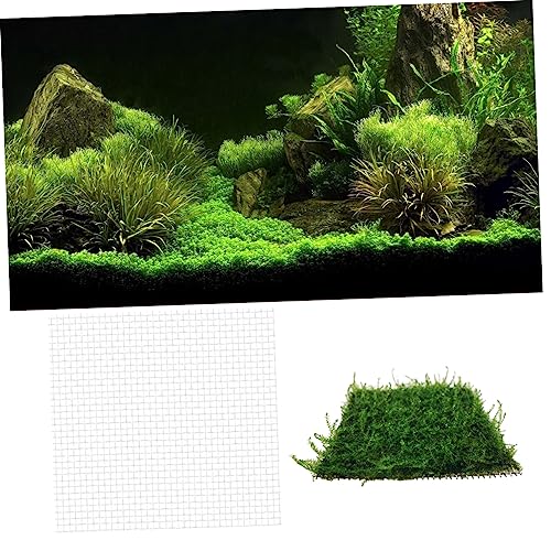 VICASKY Aquarium Fixed Mesh Pad Stainless Steel Wire Mesh Fish Tank Net Moss and Grass Plant Holder