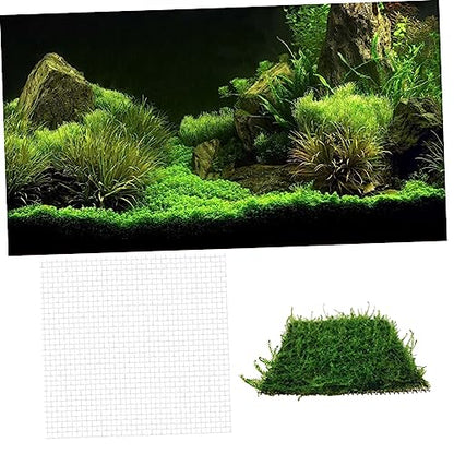 VICASKY Aquarium Fixed Mesh Pad Stainless Steel Wire Mesh Fish Tank Net Moss and Grass Plant Holder