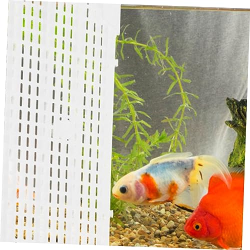 LIOOBO 4pcs Aquarium Isolation Divider for Fish Tank Panel Cups for Enhanced Water Permeability Betta Fish Separator Transparent System