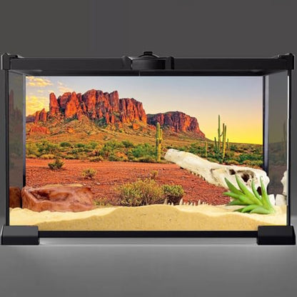AWERT 48x24 inches Reptile Habitat Background Sky Oasis Mountain Cactus Sun and Desert Terrarium Background Durable Polyester Background