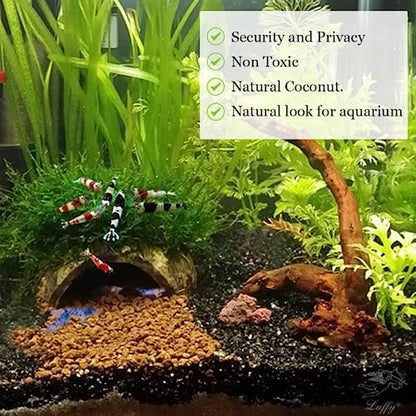 SunGrow Coconut Aquarium Shrimp Cave, Small Fish Tank Decorations Accessories, Comfortable Shelter and Breeding Area for Crustaceans, Fish Hideout Aquarium Décor for Spawning (1 piece)