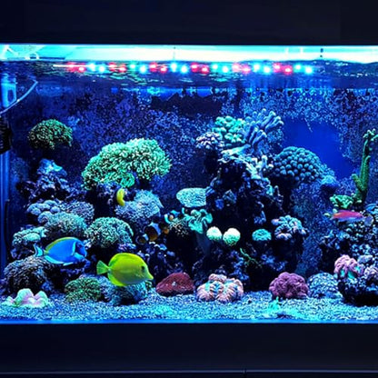 balacoo Aquarium LED Light, Full Spectrum Hidden Fish Tank Light for Aquarium Landscaping, Plants Grow, 8W (US Plug)