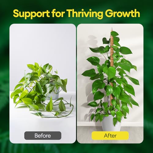 3-Pack 48” Bendable Moss Pole Monstera Plant Support for Climbing Indoors Plants, Coir Moss Poles Moss Sticks Plant Pole DIY, Plant Support Stake for Potted Plants