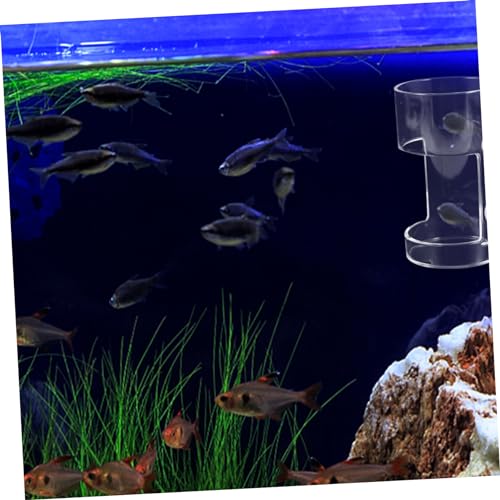 Floating Fish Feeding Sturdy Aquarium Feeder Circle Cup Convenient Feeding for Fish Tanks Easy to Use and Reusable Design