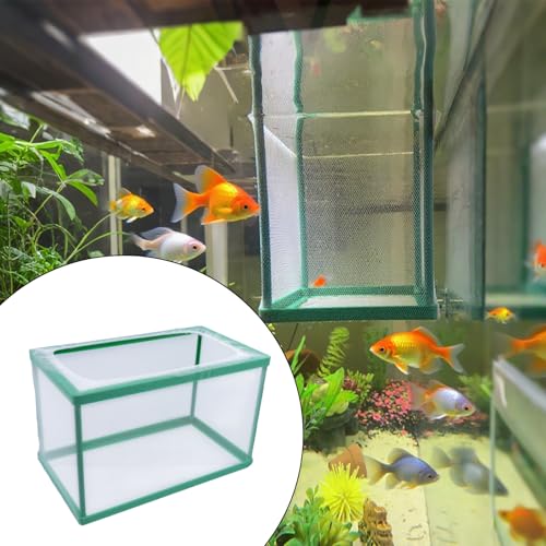 2PCS 10.43" x 5.91" x 5.91" Fish Tank Breeder Green Nylon Fish Incubator Mesh Box Aquarium Fish Fry Hatchery Breeder with Suction Cups - style: 10.43" x 5.91" x 5.91"; Green; without Divider