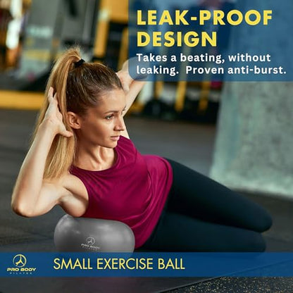 ProBody Pilates Ball Small — 9 Inch Small Exercise Ball | Anti-Burst PVC, Latex-Free, Clinic Grade, Between-Knees Stabilizer, Postpartum & Rehab, Straw Inflator, Yoga Ball Small - color: Silver