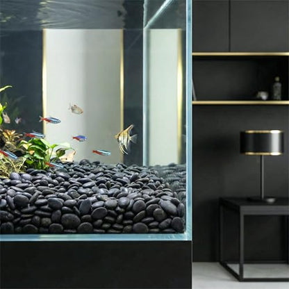 River Rocks Decorative Ornamental Vase Filler 0.5" - 0.75" Black Aquarium Gravel 1 lb - Landscaping Pebbles for Indoor Plants, Succulents, Terrarium & Home Decor, DIY & Crafting – Royal Imports