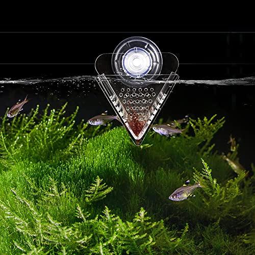 Cone Red Worm Feeder Acrylic V-Shape Shrimp Fish Tank Feeding Cup with Suction Cup