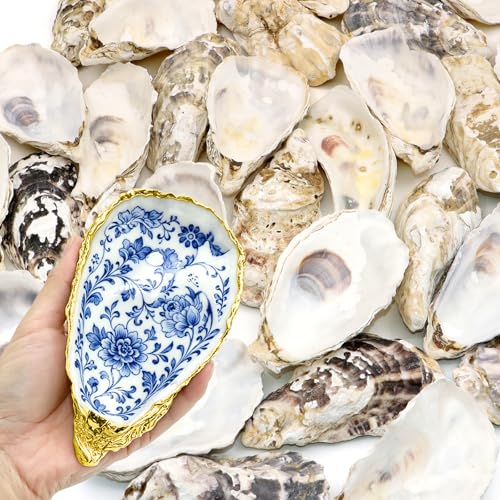 30PCS Natural Oyster Shells for Crafts, 5"-6" Large Gray Seashells Bulk for DIY Ornaments, Decoupage, Shell Painting, Vase Filler, Beach Decor & Ocean Theme Parties - color: 5"-6" 30pcs