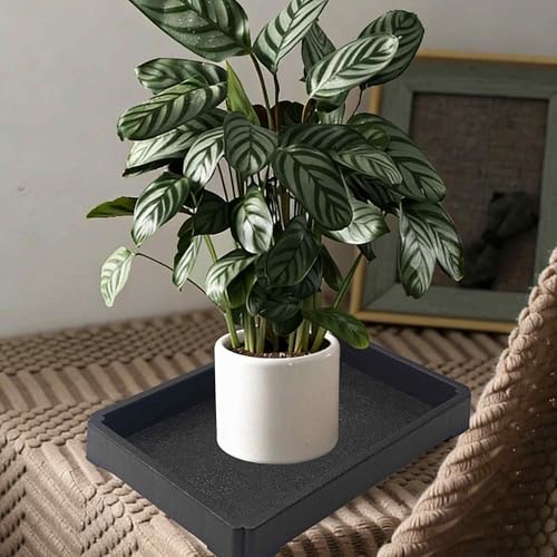 6 Inch Black Plant Saucer Tray, Heavy Duty Resin Flower Pot Drip Tray, Water Catcher for Indoor Outdoor Planters and Seed Starting - size: 6 Inch