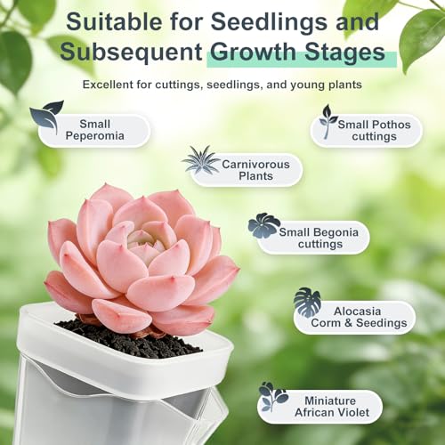 TREWAVE 16 Pack 2" Mini Self Watering Pots for Indoor Plants, Small Clear Plastic Planters with Drainage Holes, Propagation Pots for Alocasia Corms, African Violets, and Succulents - size: 2"