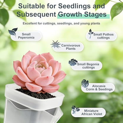TREWAVE 16 Pack 2" Mini Self Watering Pots for Indoor Plants, Small Clear Plastic Planters with Drainage Holes, Propagation Pots for Alocasia Corms, African Violets, and Succulents - size: 2"
