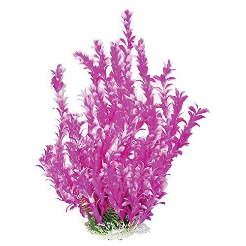 Aquatop PD-BH24 16 Inch Bacopa-Like Aquarium Plant with Weighted Base