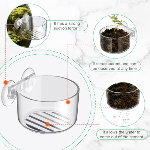 30 Pack Aquatic Plant Cups with Hole Acrylic Aquatic Plant Pot with Suction Cups Transparent Suction Cup Planter Fish Tank Plant Holder for Aquarium Aquascape Decoration, 2 Styles