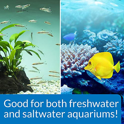 API STRESS ZYME Freshwater and Saltwater Aquarium Cleaning Solution 1-Ounce Bottle