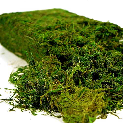 Artificial Moss, 16OZ Fake Moss for Crafts Table Centerpieces Fairy Garden Wedding Party Decor, Faux Grass for Potted Plants, 455gr (Fresh Green)