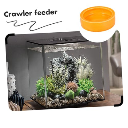 Crawler Crawling Pet Feeder Bowl Escape-Resistant Shrimp Food Dish for Small Fish and Reptiles Orange