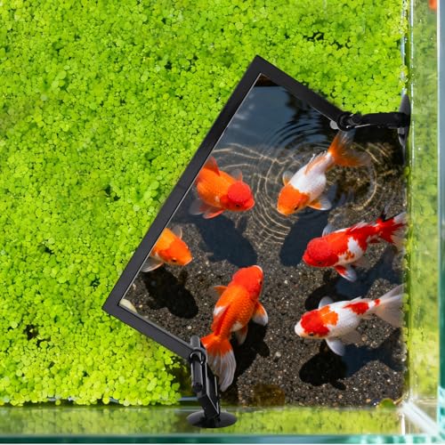 Aquarium Floating Plant Barrier, Intercepting Floating Plant Corral Fish Aquarium Accessories for Aquarium Feeding Ring, Aquarium Divider for Aquarium Holder Accessories for All Aquatic Plants