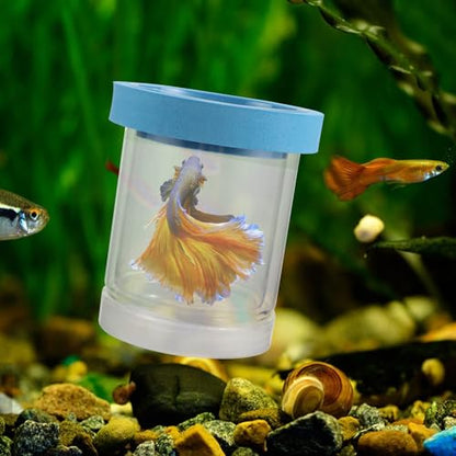 2pcs Floating Fish Breeding Box Plastic Aquarium Hatchery Incubator Isolation Tank for Small Fish Fry Guppy Betta Nursery