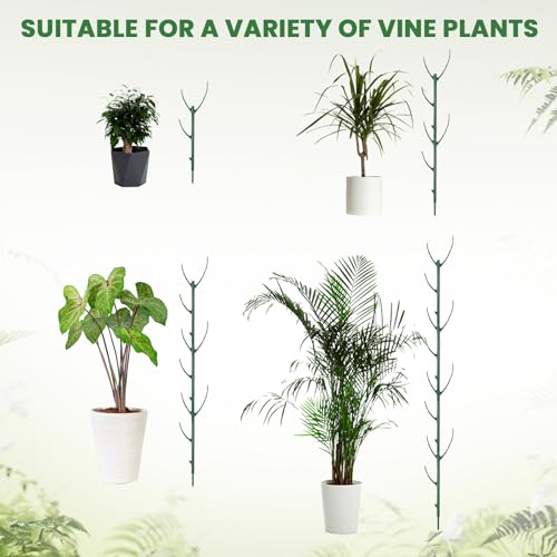 5 Pack Monstera Plants Support Stackable Plant Support Stakes Pothos Climber Supports Vine Plant Sticks Stakes with Plants Clips Ties for Indoor Outdoor Vine Orchid Perfect Moss Pole Replacement