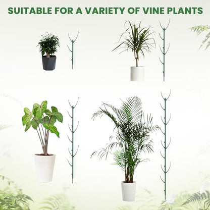 5 Pack Monstera Plants Support Stackable Plant Support Stakes Pothos Climber Supports Vine Plant Sticks Stakes with Plants Clips Ties for Indoor Outdoor Vine Orchid Perfect Moss Pole Replacement