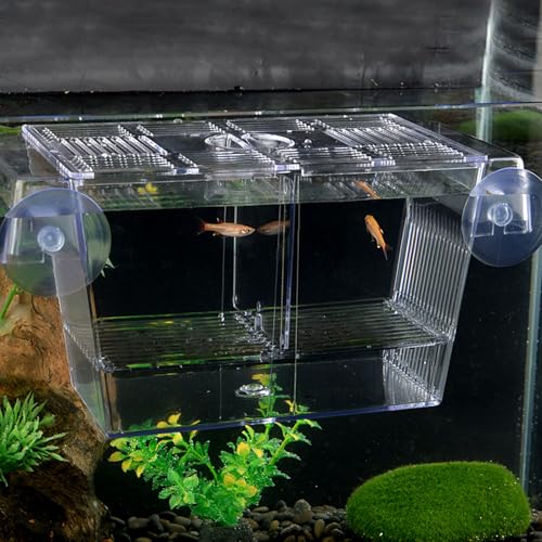 Breeder Box for Fish Tank Multi Compartment Fish Isolation Box for Aquarium with Suction Cup & Feeding Port Transparent ABS Fish Breeding Box for Baby Fish, Shrimps, Fish Isolation Box