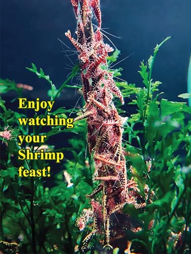 San Francisco Bay Brand Shrimp Food, Aquarium Shrimps Feeding Stick Candy Sticks Lollies Aquatic Nutrition Color Enhancing