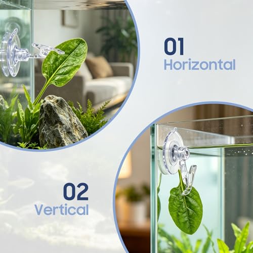 Fish Tank Cucumber Holder for Pleco, Aquarium Vegetable Clip Suction Cup, Stainless Steel Aquarium Vegetable Feeding Tools for Shrimp Loach Pleco Food Feeder in Fresh and Salt Water
