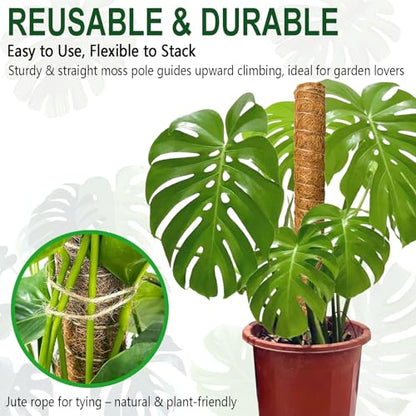 4 Pack 22 Inch Stackable Moss Pole - Thick & Sturdy Natural Coir Totem Plant Support & Garden Stakes for Monstera & Pothos, Indoor Climbing Vining Houseplants, 70" H Max - color: 4*22 inch