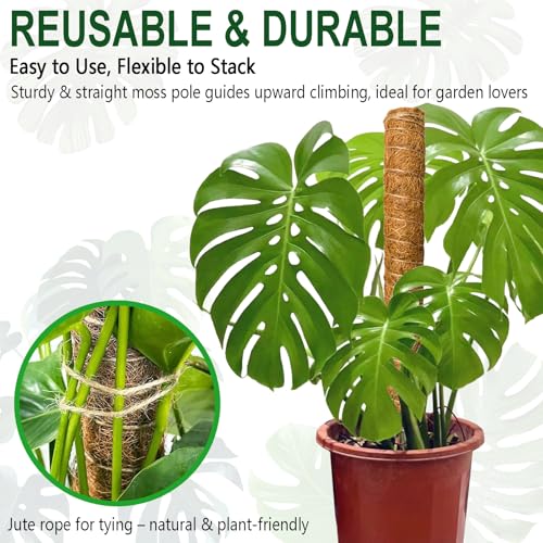 2 Pack 22 Inch Stackable Moss Pole - Thick & Sturdy Natural Coir Totem Plant Support & Garden Stakes for Monstera & Pothos, Indoor Climbing Vining Houseplants, 38" H Max - color: 2*22 inch