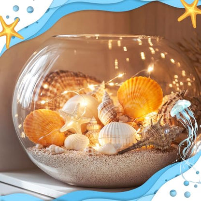 35 Pcs Large Sea Shells Mixed Beach Seashells 35 Kinds 0.8"-3.5" Various Sizes Natural Seashell Starfish Ocean Shells Conch for DIY Crafts Vase Fillers Beach Party Fish Tank Wedding Home Decor