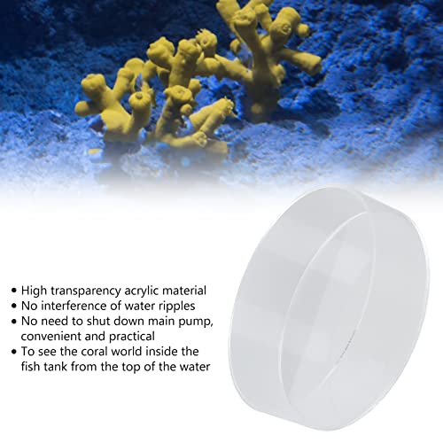 Coral Observe Lense, Acrylic Fish Cylinder Magnifier, Transparent Viewing Tool for Coral and Aquarium, Ideal for Photography and Observation